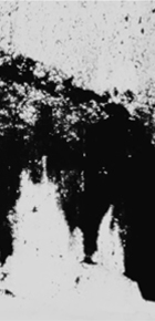 https://jjpo.us/files/dimgs/thumb_0x290_9_74_889.jpg